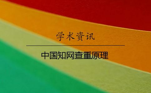 中國知網查重原理